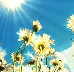 2e pinksterdag open!!