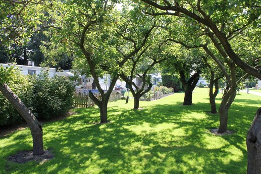 Camping het Witte Hek