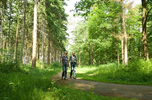 Chalet & Caravanpark De Vossenhoek