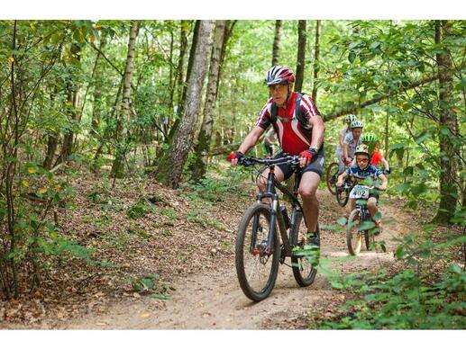 Chalet op Camping de Reeënwissel