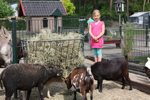 Recreatiepark Samoza in Vierhouten