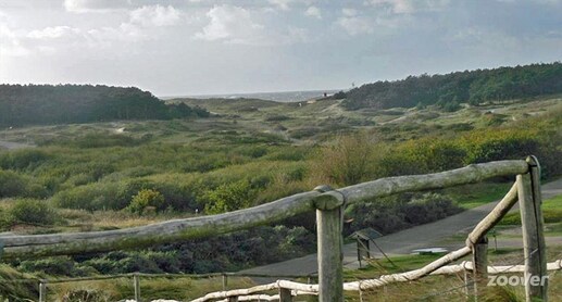 Camping de Wielen in Sint Maarten