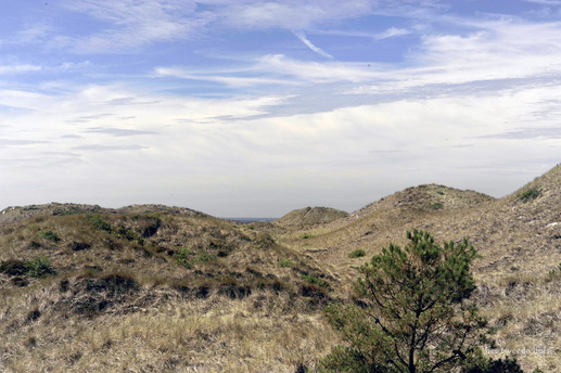 Recreatie centrum Aagtdorperduinen in Schoorl