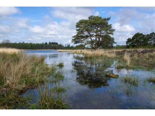 Chalet op Camping de Reeënwissel