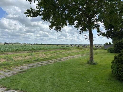 Chalet met standplaats Witte Hek